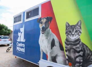 Bora Petrolina: 4º edição do programa leva ações do CCZ para Nova Descoberta