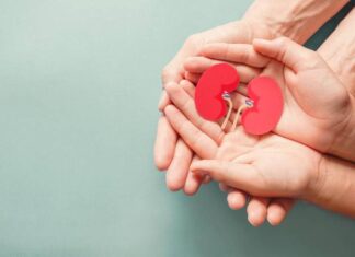 Dia Nacional da Doação de Órgãos é celebrado neste 27 de setembro