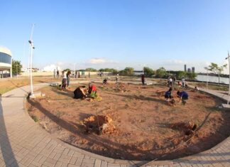 Plantio de mudas marca lançamento do Bosque da Caatinga no novo prédio do Espaço Arte, Ciência e Cultura (EACC) da Univasf