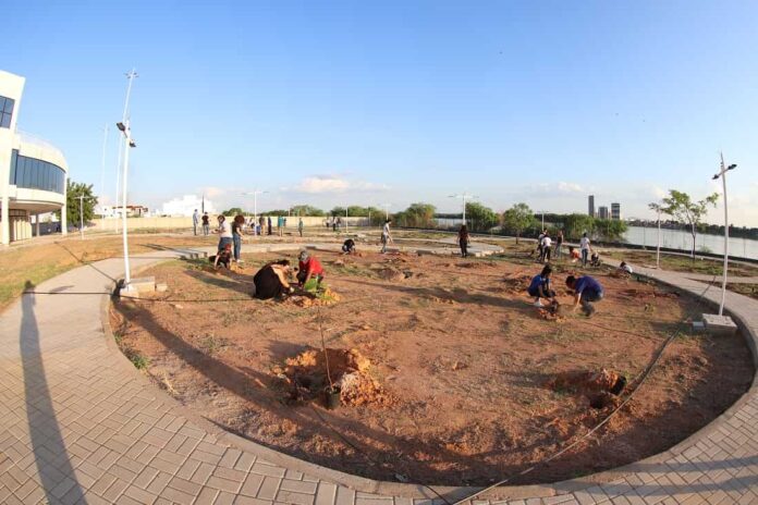 Plantio de mudas marca lançamento do Bosque da Caatinga no novo prédio do Espaço Arte, Ciência e Cultura (EACC) da Univasf