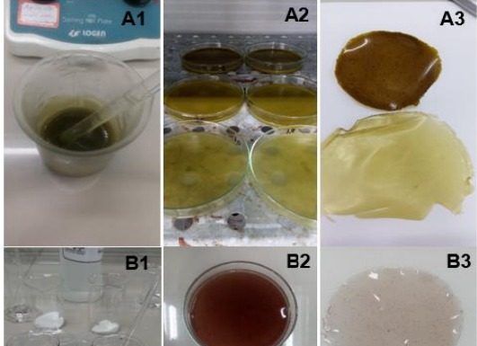 INPI concede à Univasf patente por criação de plástico filme biodegradável à base de extratos de uva e moringa