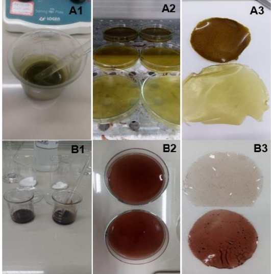 INPI concede à Univasf patente por criação de plástico filme biodegradável à base de extratos de uva e moringa