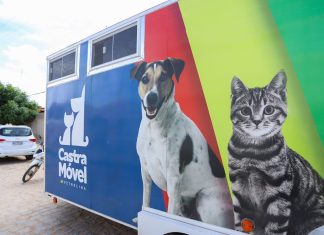 Bora Petrolina: 8° edição do programa leva ações do CCZ para o N5