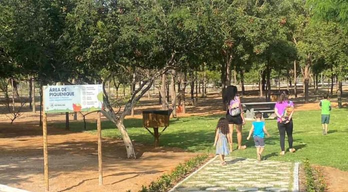 Implantação da área de piqueniques é concluída no Parque Municipal de Petrolina