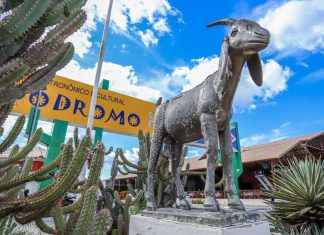 Bodódromo: Espaço Gastronômico em Petrolina oferece uma variedade de pratos