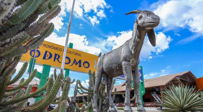 Bodódromo: Espaço Gastronômico em Petrolina oferece uma variedade de pratos