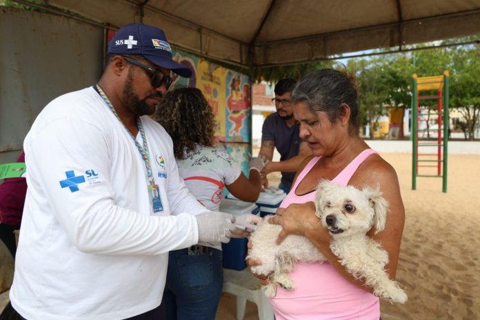 CCZ monta quatro pontos fixos para vacinação antirrábica neste final de semana em Petrolina