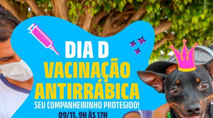 Dia D de vacinação antirrábica acontece neste sábado em Petrolina-PE