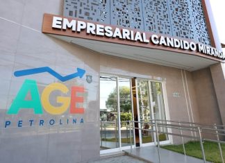 Microempreendedores Individuais já podem fazer a Declaração Anual do MEI