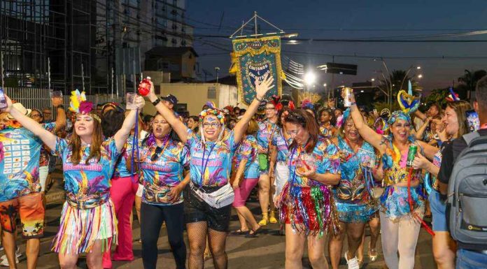 Foliões se entregam à alegria, cores e ritmos dos blocos de carnaval em Petrolina