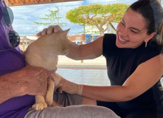 Prefeitura de Petrolina avalia animais para castração no residencial Vivendas em Petrolina