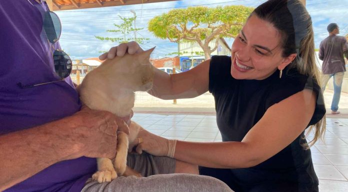 Prefeitura de Petrolina avalia animais para castração no residencial Vivendas em Petrolina