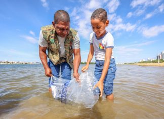 Prefeitura de Petrolina solta mais de 100 mil peixes no Rio São Francisco