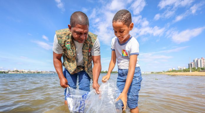 Prefeitura de Petrolina solta mais de 100 mil peixes no Rio São Francisco