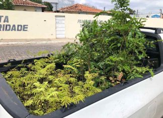 Comunidade de Rajada será contemplada com o Carro da Planta nessa quarta-feira