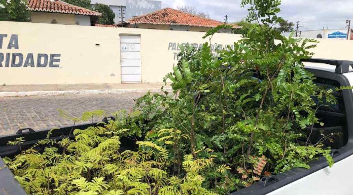 Comunidade de Rajada será contemplada com o Carro da Planta nessa quarta-feira