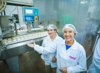 Pernambuco registra maior crescimento econômico dos últimos 15 anos e supera média nacional