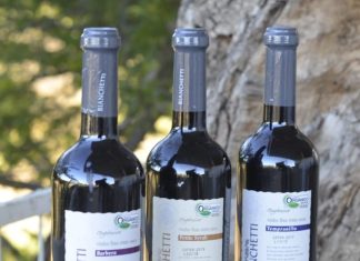 Vinhos orgânicos do Vale do São Francisco fazem a diferença nesta Páscoa