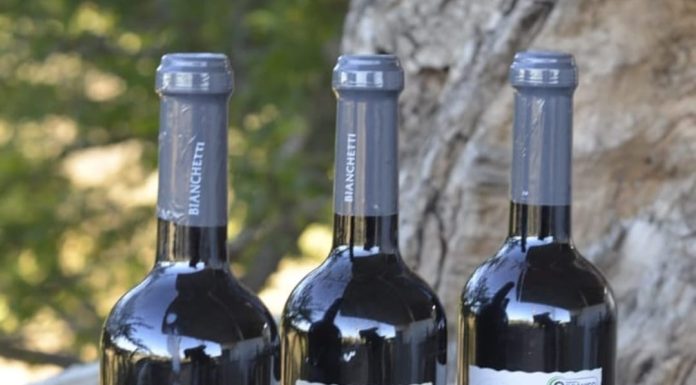 Vinhos orgânicos do Vale do São Francisco fazem a diferença nesta Páscoa