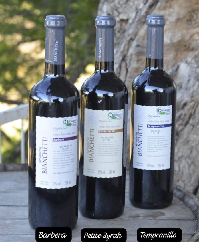 WhatsApp Image 2025-04-09 at 11.59.28 (2)