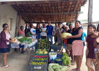 Com alimento na mesa e respeito à cultura, Programa de Aquisição de Alimentos chega até comunidade Indígena em Izacolândia