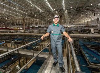 Grupo Petrópolis investe em iniciativas ambientais e gera impacto positivo no Nordeste