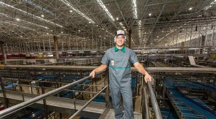 Grupo Petrópolis investe em iniciativas ambientais e gera impacto positivo no Nordeste