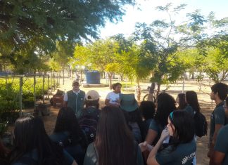 É possível agendar visitas ao Viveiro Municipal de Petrolina e aproveitar experiências sustentáveis