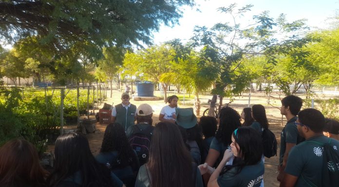 É possível agendar visitas ao Viveiro Municipal de Petrolina e aproveitar experiências sustentáveis