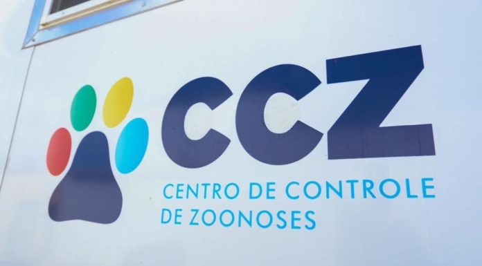 CCZ de Petrolina orienta população sobre cuidados para evitar a Leishmaniose
