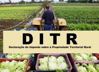 Entrega da declaração do ITR 2025 já está disponível e segue até 30 de setembro