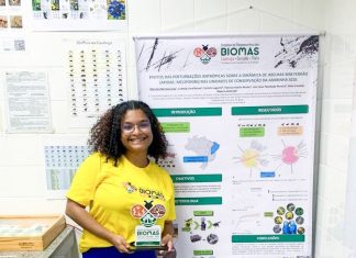 Cemafauna conquista premiação em Simpósio Nacional de Meliponicultura