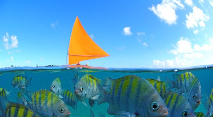 Pernambuco lidera ranking nacional de destinos turísticos mais desejados