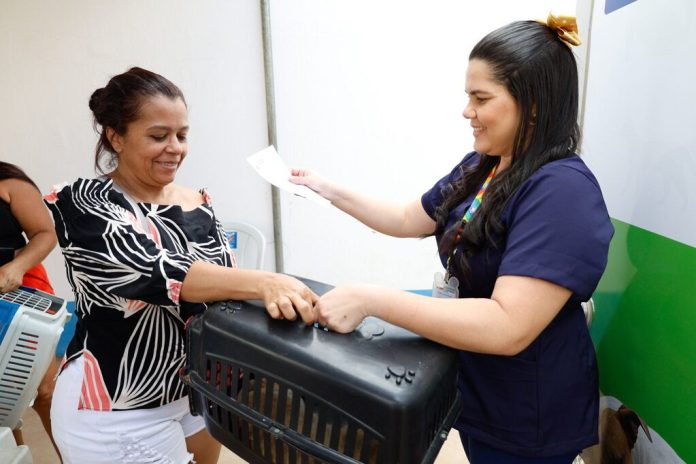 Cuidado e acolhimento com os animais: Petrolina inicia castrações no São Gonçalo