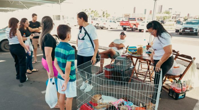 Feira de adoção de animais proporcionar novos lares para cães e gatos de Petrolina