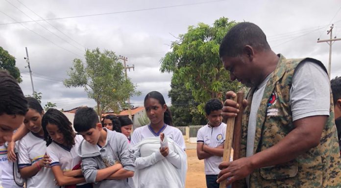 Prefeitura de Petrolina leva educação ambiental e arborização para dentro das escolas