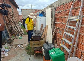 Prefeitura de Petrolina reforça combate ao mosquito da dengue e cidade permanece fora da zona de risco