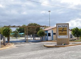 Funcionamento do Museu de Fauna da Caatinga será ajustado durante recesso e realização do ‘Ceminha Verão 2026’