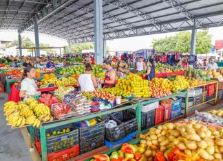 Feiras livres de Petrolina funcionarão normalmente no final de semana