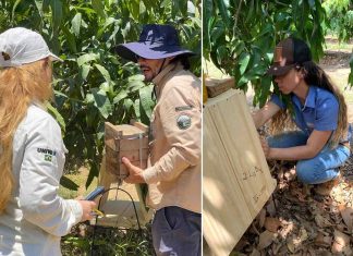 Startup POLLINOVA é aprovada no ‘Programa Inova Caatinga’ e fortalece inovação científica no semiárido