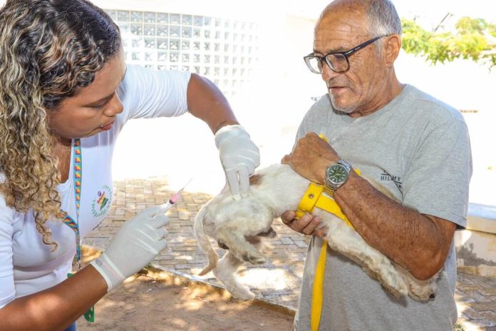 vacina antirrábica 3_Easy-Resize.com