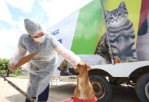 Abril Laranja: Prefeitura de Petrolina reforça combate aos maus-tratos contra animais