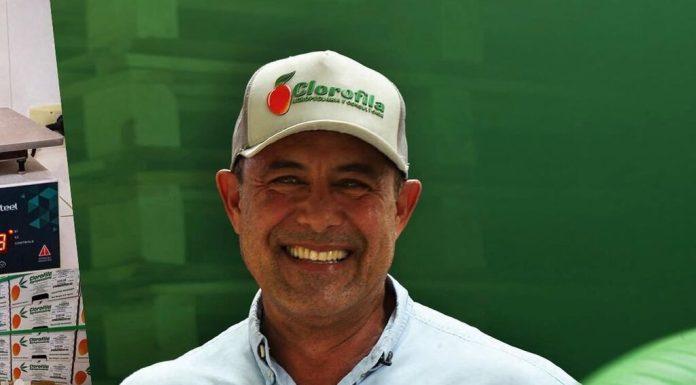 DNA da Manga: Petrolina recebe grande evento técnico sobre cultivo da manga com um dos maiores especialistas do setor