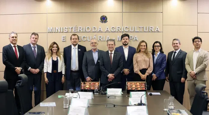 Abrafrutas reforça pautas prioritárias da fruticultura brasileira em encontro com o Ministro da Agricultura