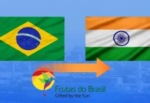 Abrafrutas intensifica promoção internacional e leva frutas brasileiras ao mercado indiano em missão estratégica