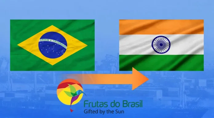 Abrafrutas intensifica promoção internacional e leva frutas brasileiras ao mercado indiano em missão estratégica