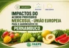 Faepe lança documento sobre impactos do acordo Mercosul-União Europeia para o agronegócio de Pernambuco