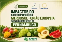 Faepe lança documento sobre impactos do acordo Mercosul-União Europeia para o agronegócio de Pernambuco