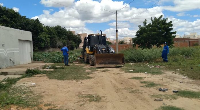 Programa Petrolina + Limpa identifica 42 terrenos irregulares em uma semana de ações no município