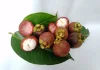 Fruta eleita a mais saborosa do mundo pelo TasteAtlas é cultivada no Brasil e tem propriedades medicinais